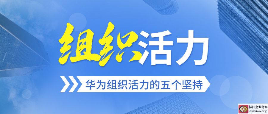 華為的組織活力五個堅持