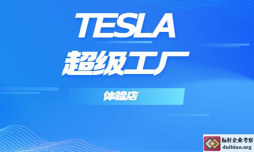TESLASw